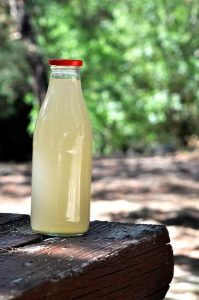 Does Ginger Ale Expire? The Must-Know Facts for Soda Lovers