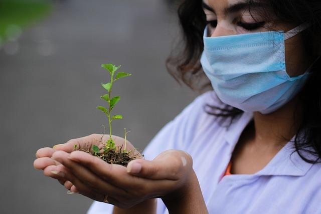 Planting Timing and Depth Guidelines for Wisconsin Gardeners