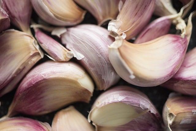 Choosing the Right Garlic Variety for Wisconsin Climates