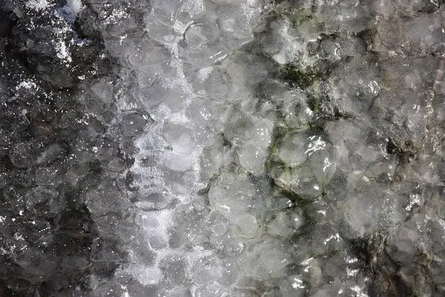 Tips for Maximizing the Flavor of Frozen Ginger Cubes